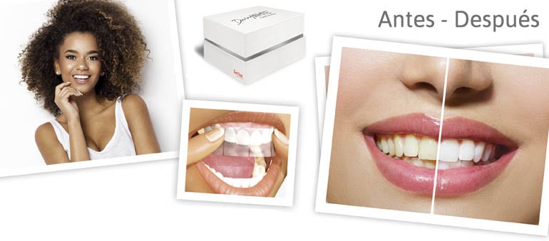 Daring White Consumer Tri-fold A4 EN.indd