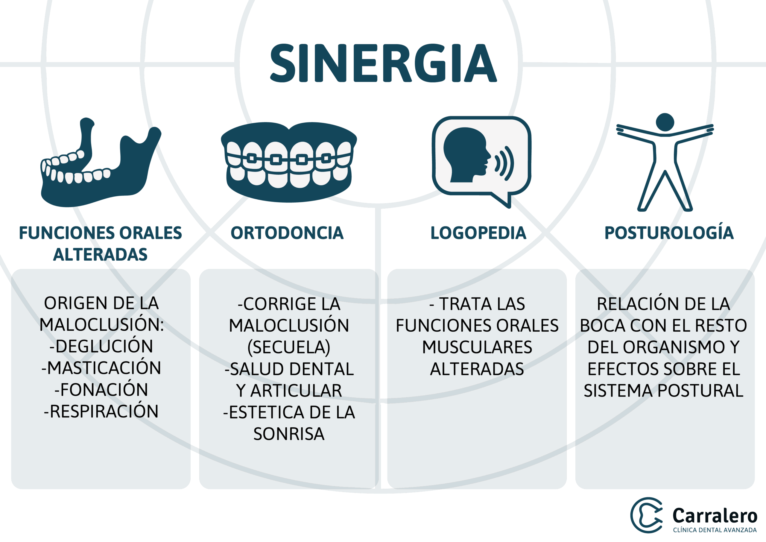 DIAPOSITIVA SINERGIA